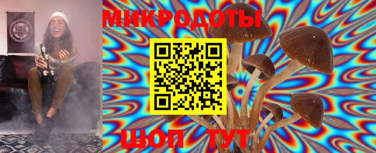 Осинники  Галлюциногенные грибы прущие грибы  Вход с VPN  Галлюциногенные грибы Magic Shrooms 