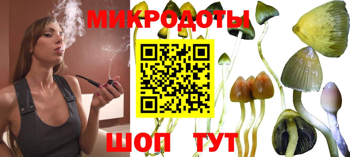 Галлюциногенные грибы Cubensis Осинники